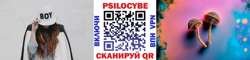 Псилоцибиновые грибы Psilocybine cubensis Пласт